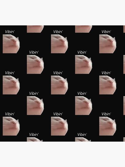 Vibin cat meme Socks