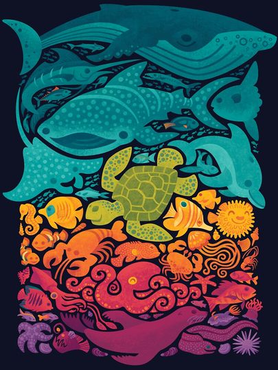 Aquatic Spectrum Baby One-Piece