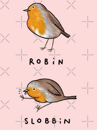 Robin Slobbin Baby One-Piece