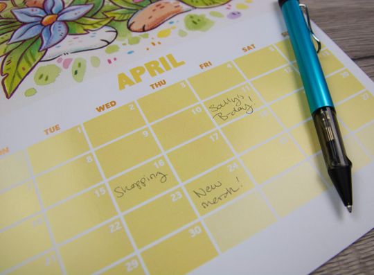 2025 Wall Calendar with Cute Cats