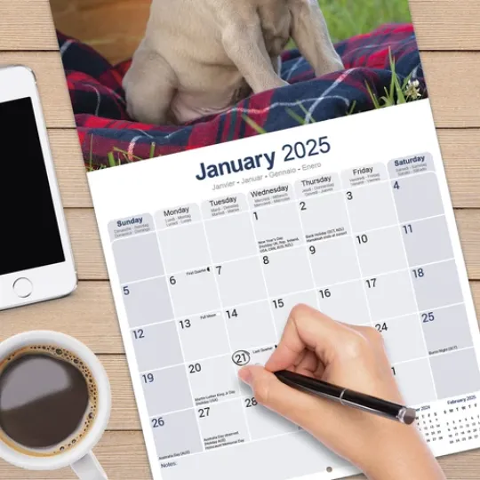 Weimaraner Calendar 2025 Dog Breed Gift Wall Calendar 15% OFF MULTI ORDERS!