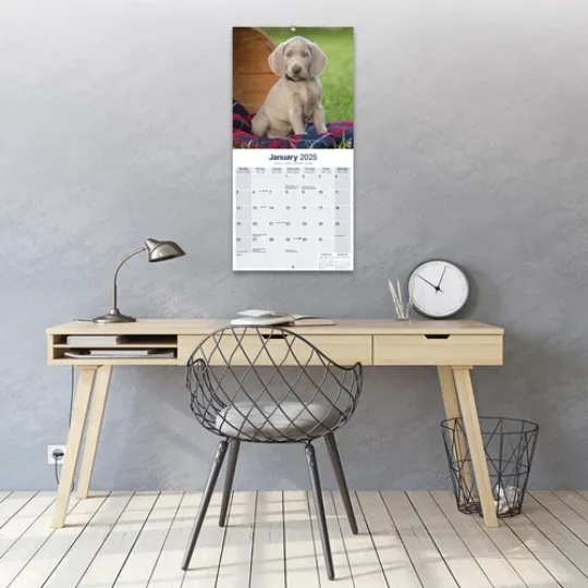 Weimaraner Calendar 2025 Dog Breed Gift Wall Calendar 15% OFF MULTI ORDERS!