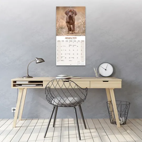 Vizsla Calendar 2025 Dog Breed Gift Wall Calendar 15% OFF MULTI ORDERS!