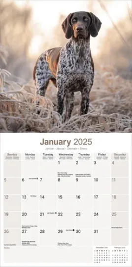 German Shorthaired Pointer Calendar 2025 Dog Gift Wall 15% OFF MULTI ORDERS!