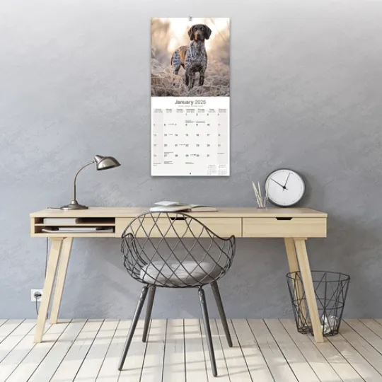 German Shorthaired Pointer Calendar 2025 Dog Gift Wall 15% OFF MULTI ORDERS!