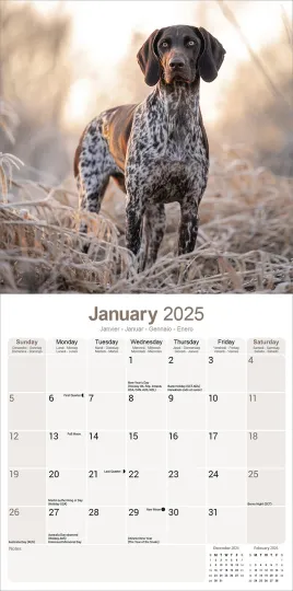 German Shorthaired Pointer Calendar 2025 Dog Gift Wall 15% OFF MULTI ORDERS!