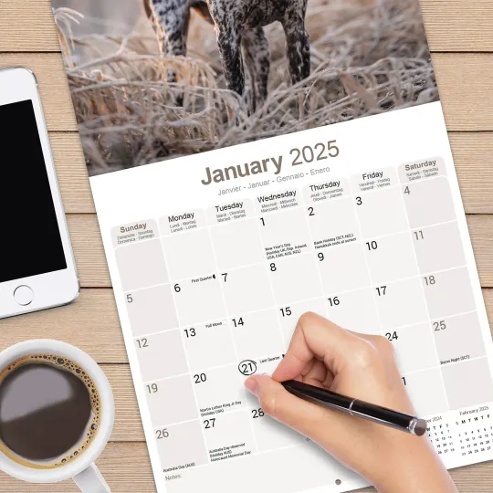 German Shorthaired Pointer Calendar 2025 Dog Gift Wall 15% OFF MULTI ORDERS!