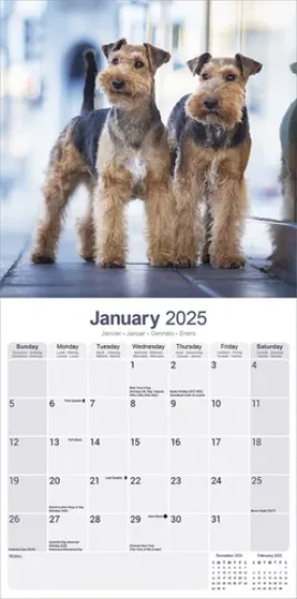 Welsh Terrier Calendar 2025 Dog Breed Gift Wall Calendar 15% OFF MULTI ORDERS!