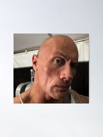 The rock eyebrow meme Poster