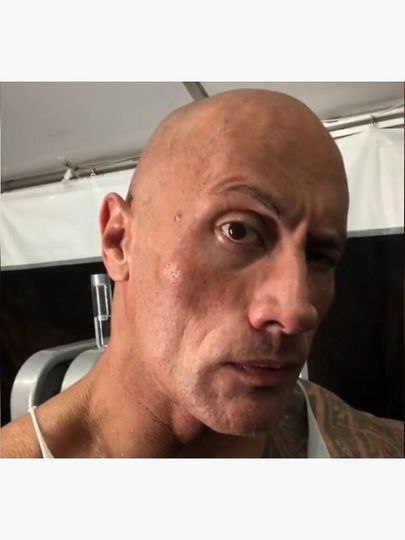 The rock eyebrow meme Poster