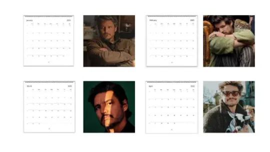 Pedro Pascal 2025 Wall Calendar,  2025 Calendar Wall, Celebrity Wall Decor Gifts