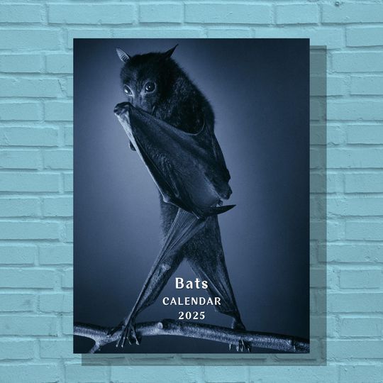 Bats 2025 Calendar