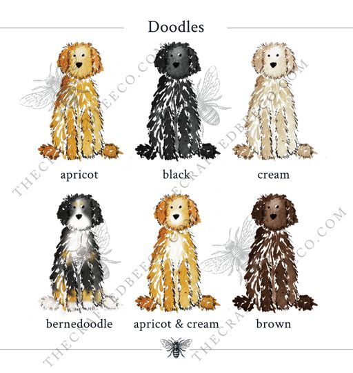 Lucky St. Patrick's Day Apricot Doodle Garden Flag