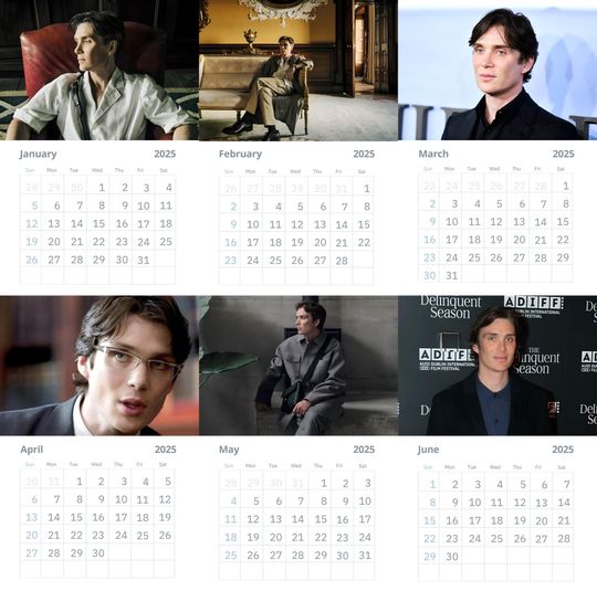 Cillian Murphy Wall Calendars 2025
