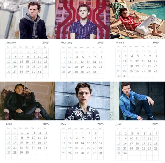 Tom Holland Wall Calendar 2025