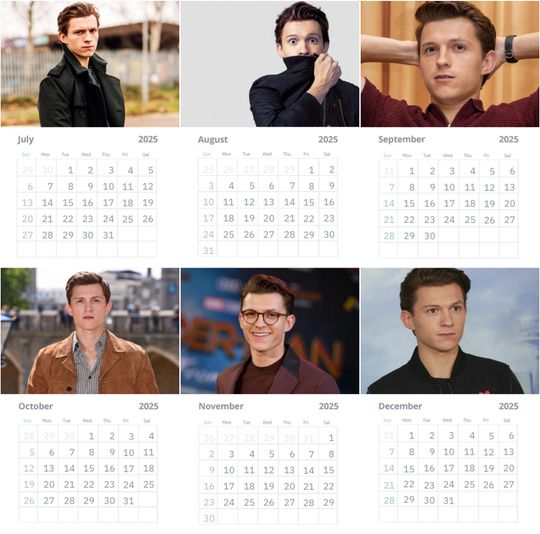 Tom Holland Wall Calendar 2025
