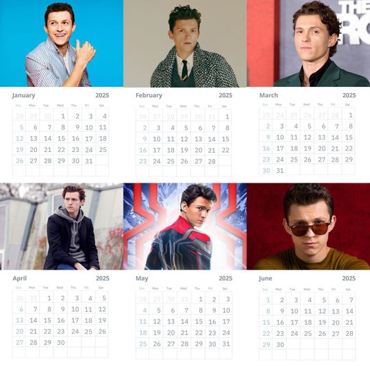 Tom Holland Wall Calendars 2025