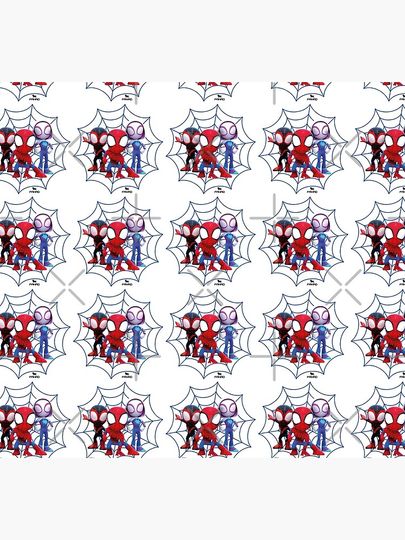 Spidey and his amazing friends Socks