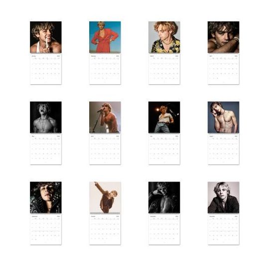 Ross Lynch Calendar Vol.1 - 2025 Calendar, Wall Calendar 2025, Planner 2025, Ross Lynch Fan Mug Gift, Unique Holiday Gift