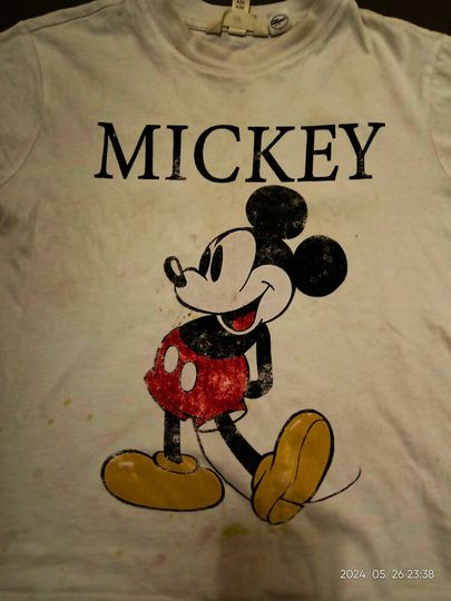Mickey  Lightweight Hoodie