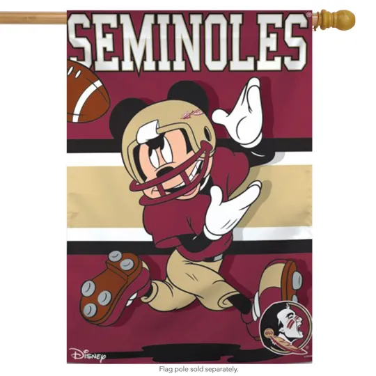 Discover Florida State University Seminoles NCAA Mickey Mouse House Flag Licensed 28"x40"