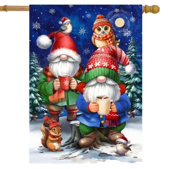 Discover Briarwood Lane Warm Wishes Gnomes House Flag