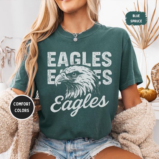 Discover Eagles Mascot Shirt, Comfort Colors 1717, Vintage Distressed Game Day Tee, School Spirit Unisex Graphic, Collegiate Football Top