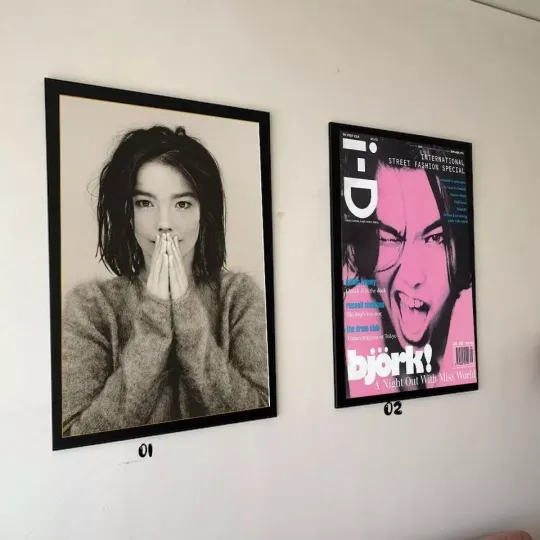 Bjork Poster, Music Poster Print, Singer Poster