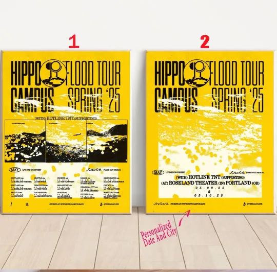 Custom Hippo Campus - FLOOD Tour 2025 US Poster