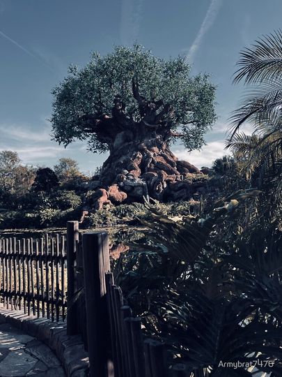 Tree of Life iPhone Case