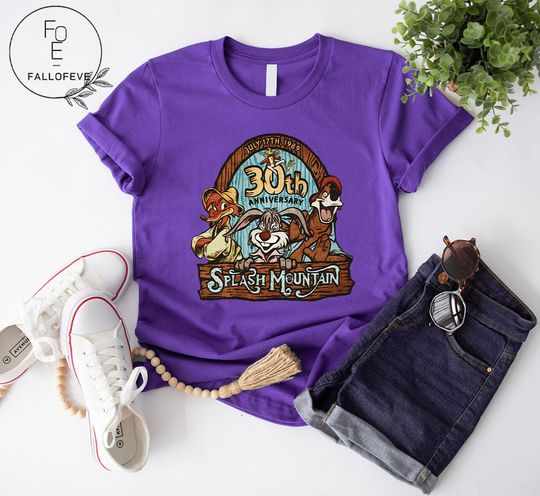 Disney Splash Mountain, Disney Mountain Sweatshirt, Disney Sweatshirt