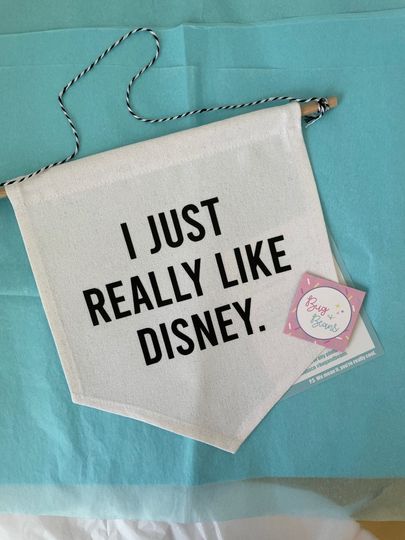I just really like Disney Pennant Flag