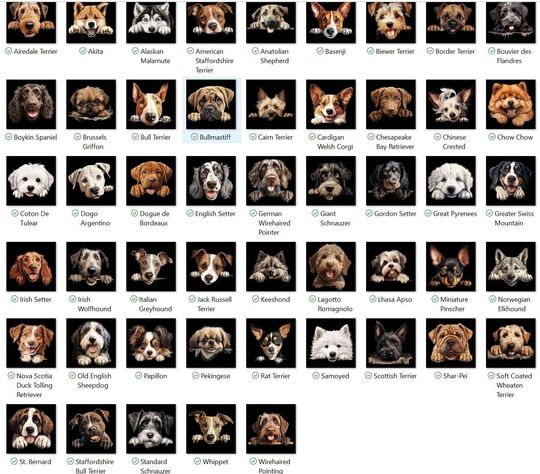 Personalized dog stocking, Disney Christmas Dog Breed Stocking