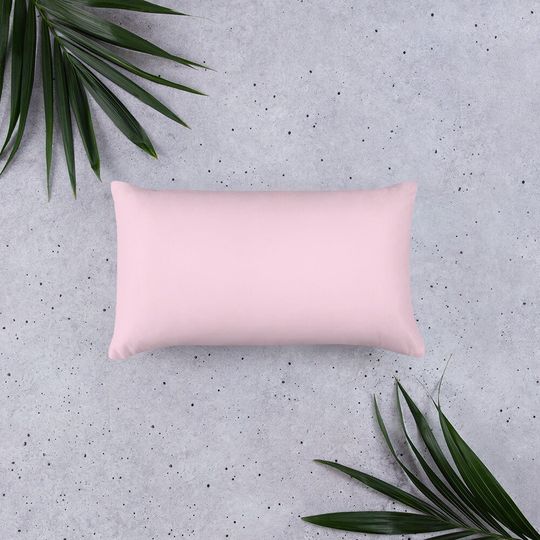 TaylorSwift albums Basic Pillow