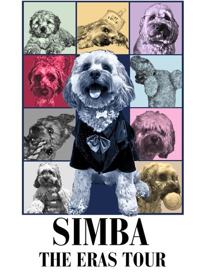 Custom Pet Eras Tour Poster