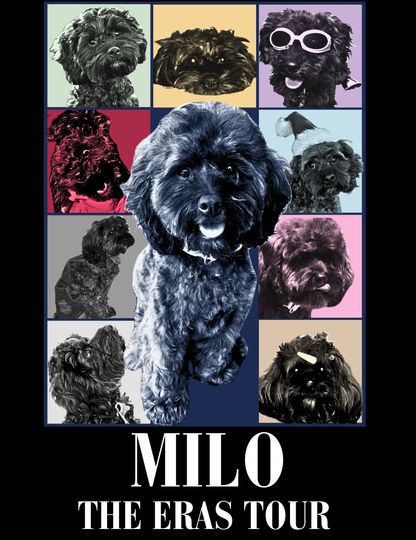 Custom Pet Eras Tour Poster
