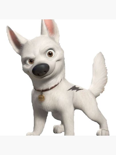 Bolt  Pillow