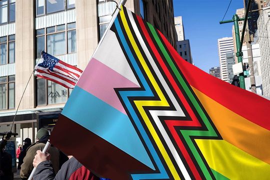 Disability Pride Month House Flag, Disability Support Flag, Disability Pride Flag, Disability Right, July Disabled Pride Awareness