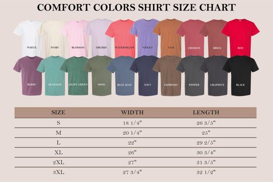 Disney Embroidered T-shirt