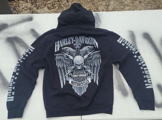 Vintage Haarleyy Davidson Wisconsin Hoodie