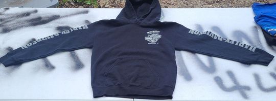 Vintage Haarleyy Davidson Wisconsin Hoodie