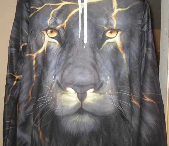 3D Lion Print Lightweight Pullover Hoodie XXL Multi Color