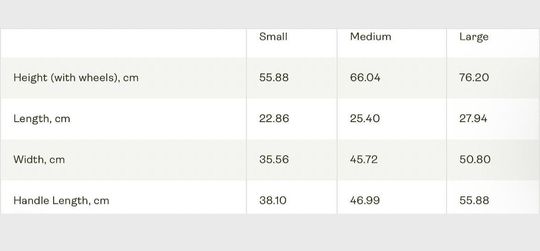 Labubu Cute Bunny Print Suitcase