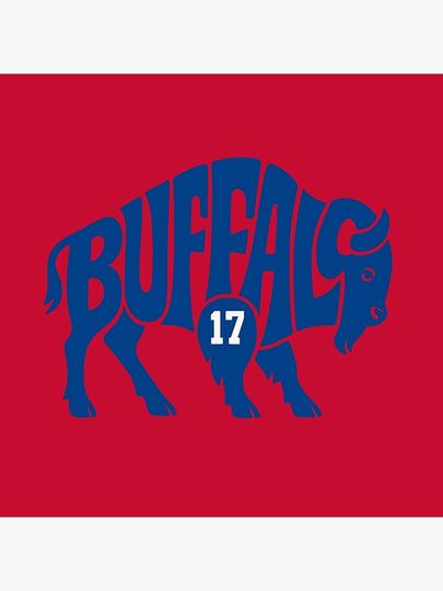 Buffalo 17 Pillow, Gift for Fan