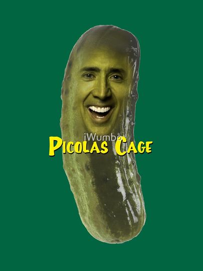 Picolas Cage Essential T-Shirt, Gift Funny