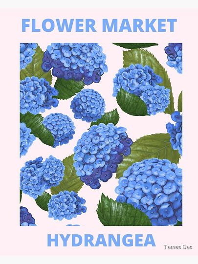 Vintage Blue Hydrangea Flower Market Poster