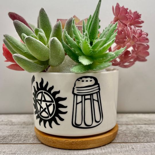 Supernatural Dean Sam Winchester Inspired Plant Pot