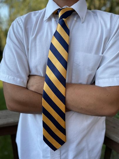 tiemart Men's Striped Tie Standard Length