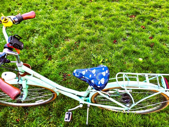 Waterproof Saddle Cover