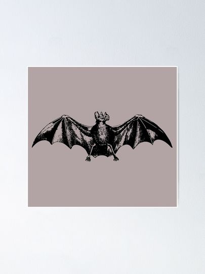 Vampire Bat Poster